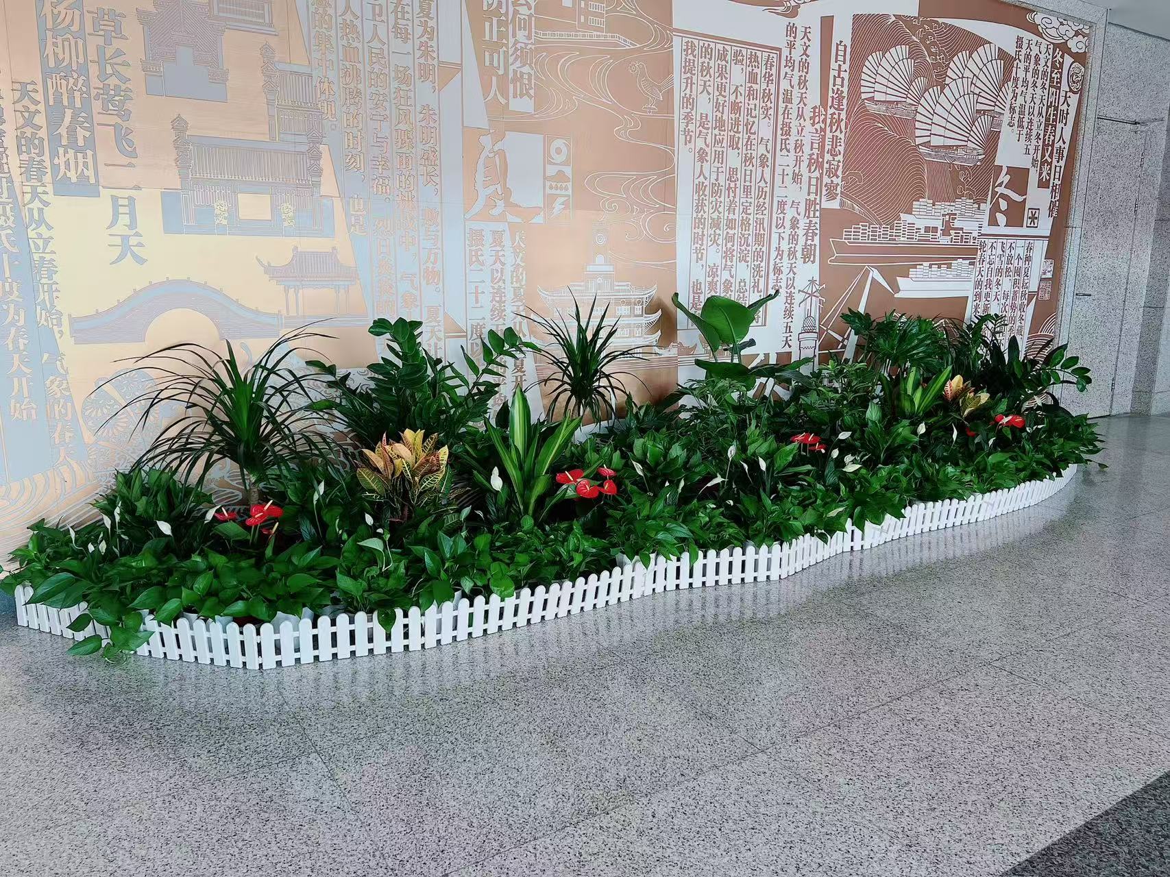 宁波鄞州绿植租摆服务好